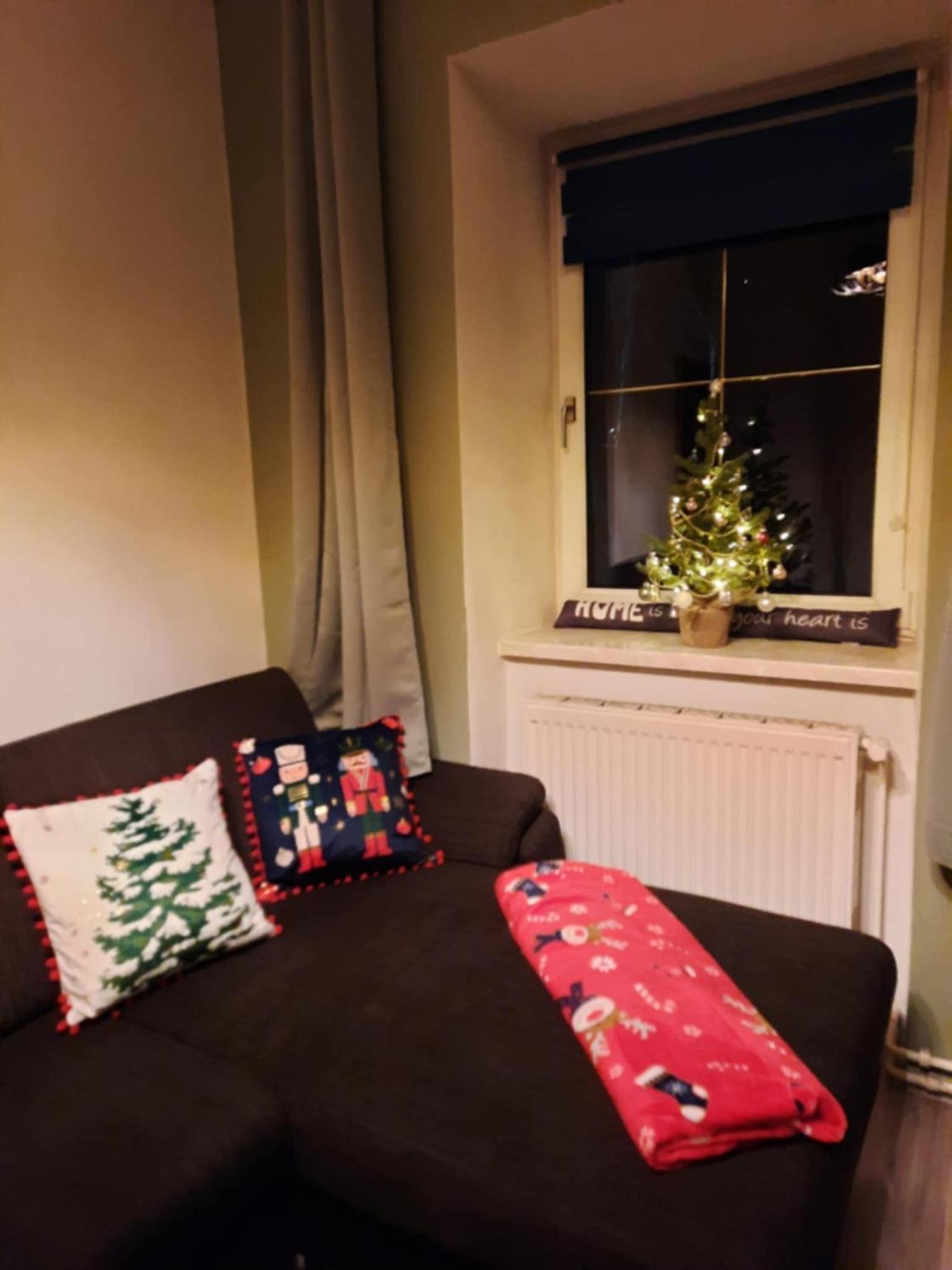 Ausseerland Apartments - Relax, Ski, Hike And Bike, Garden, Parking, Bbq, Near Hallstatt, Loser, Tauplitz And Krippenstein, Free Wi-Fi And Netflix บาดเอาส์ซี ห้อง รูปภาพ