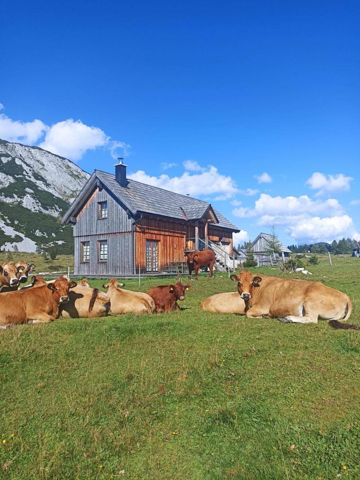 Ausseerland Apartments - Relax, Ski, Hike And Bike, Garden, Parking, Bbq, Near Hallstatt, Loser, Tauplitz And Krippenstein, Free Wi-Fi And Netflix บาดเอาส์ซี ภายนอก รูปภาพ