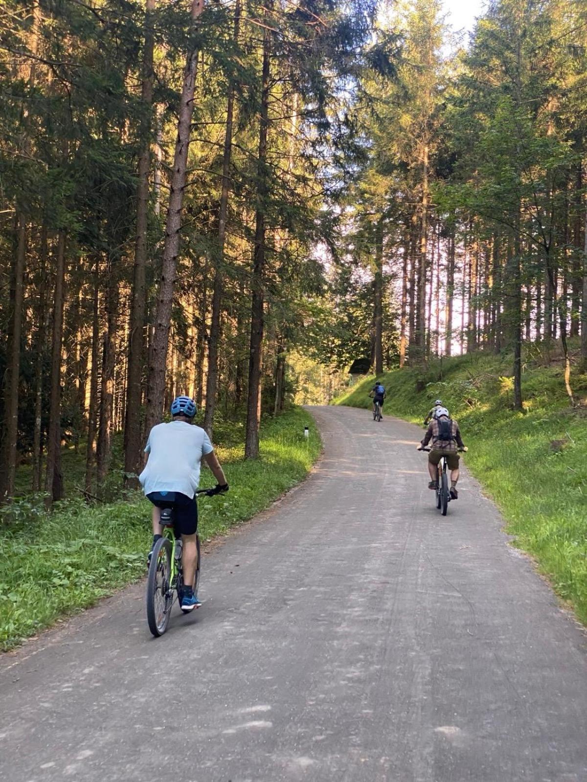 Ausseerland Apartments - Relax, Ski, Hike And Bike, Garden, Parking, Bbq, Near Hallstatt, Loser, Tauplitz And Krippenstein, Free Wi-Fi And Netflix บาดเอาส์ซี ภายนอก รูปภาพ