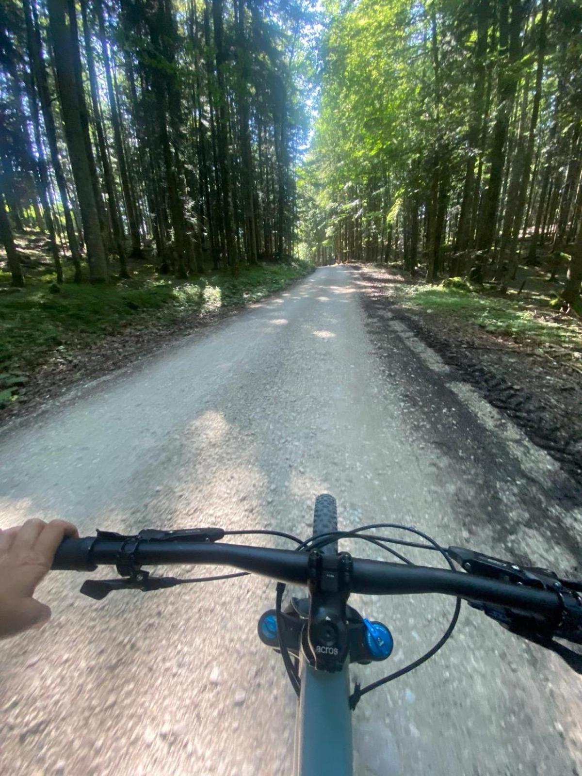 Ausseerland Apartments - Relax, Ski, Hike And Bike, Garden, Parking, Bbq, Near Hallstatt, Loser, Tauplitz And Krippenstein, Free Wi-Fi And Netflix บาดเอาส์ซี ภายนอก รูปภาพ